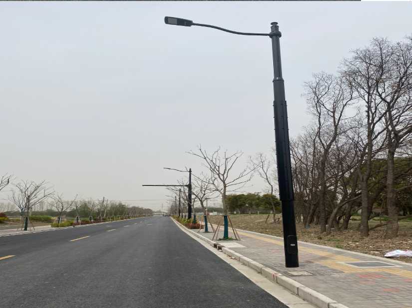 大洼区上海综合杆 太阳能路灯工程