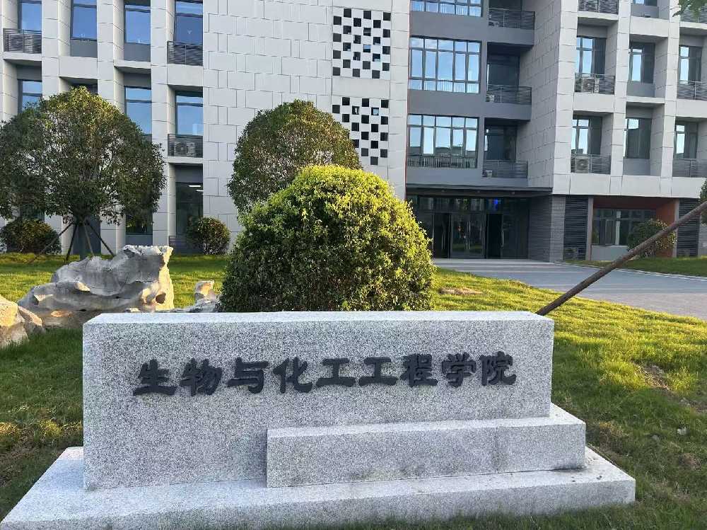 大洼区扬州职业大学体育场高杆灯项目